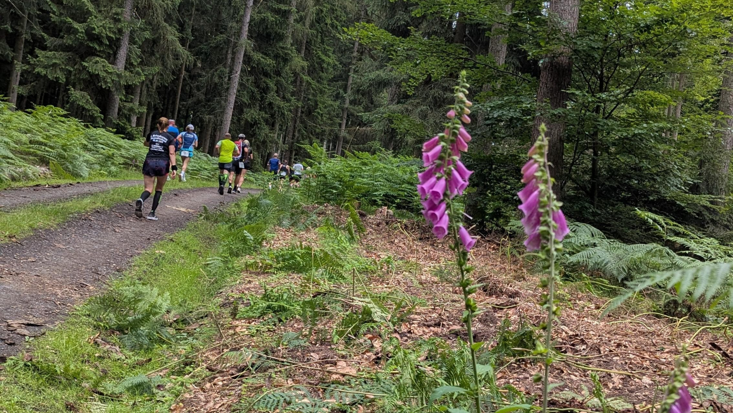 TSG Leihgestern auf der 4. Etappe des Brüder-Grimm-Laufs